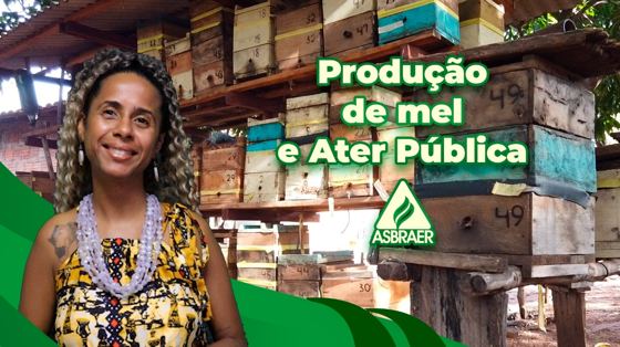 O mel da Agricultura familiar tem história para contar